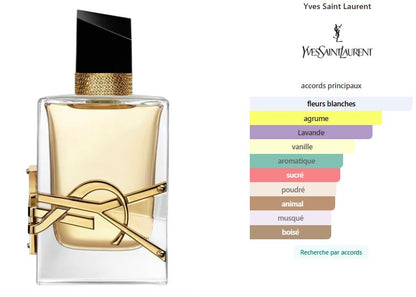 LIBER   Yves Saint Laurent